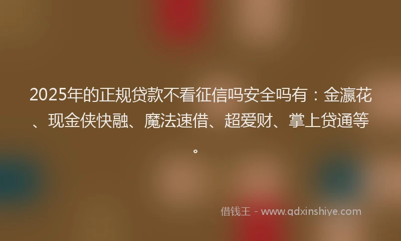 2025年的正规贷款不看征信吗安全吗有：金瀛花、现金侠快融、魔法速借、超爱财、掌上贷通等。