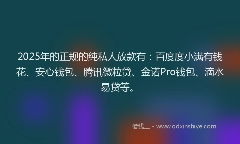 2025年的正规的纯私人放款有：百度度小满有钱花、安心钱包、腾讯微粒贷、金诺Pro钱包、滴水易贷等。