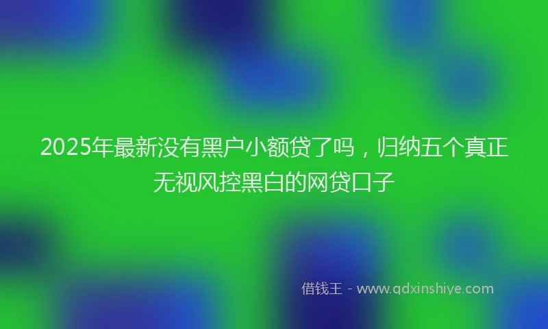 2025年最新没有黑户小额贷了吗，归纳五个真正无视风控黑白的网贷口子
