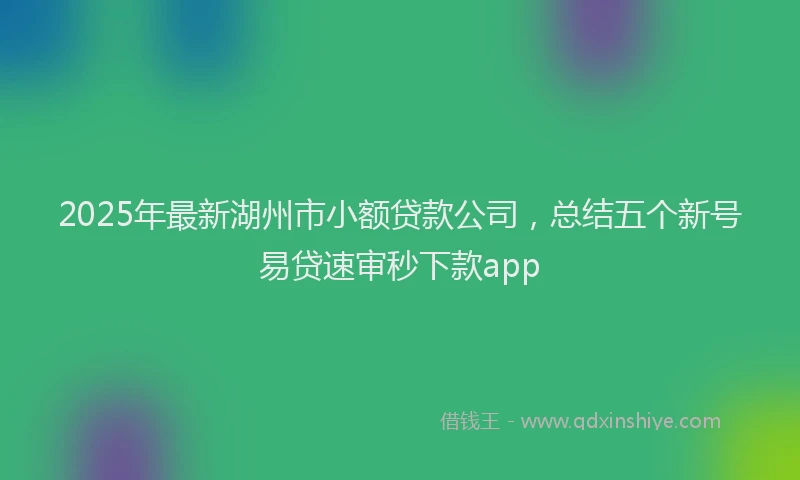 2025年最新湖州市小额贷款公司，总结五个新号易贷速审秒下款app