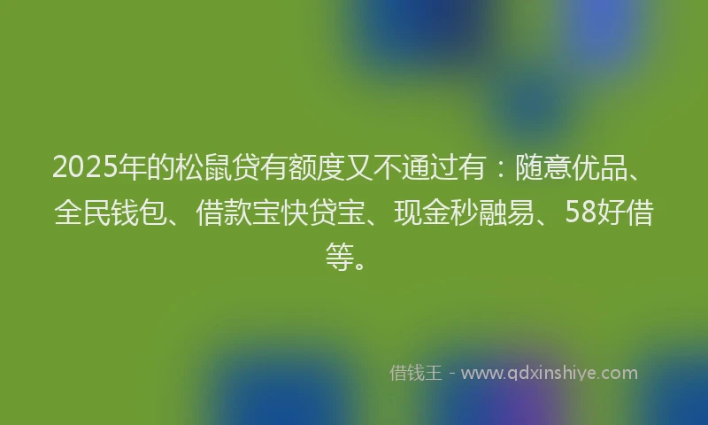 2025年的松鼠贷有额度又不通过有：随意优品、全民钱包、借款宝快贷宝、现金秒融易、58好借等。