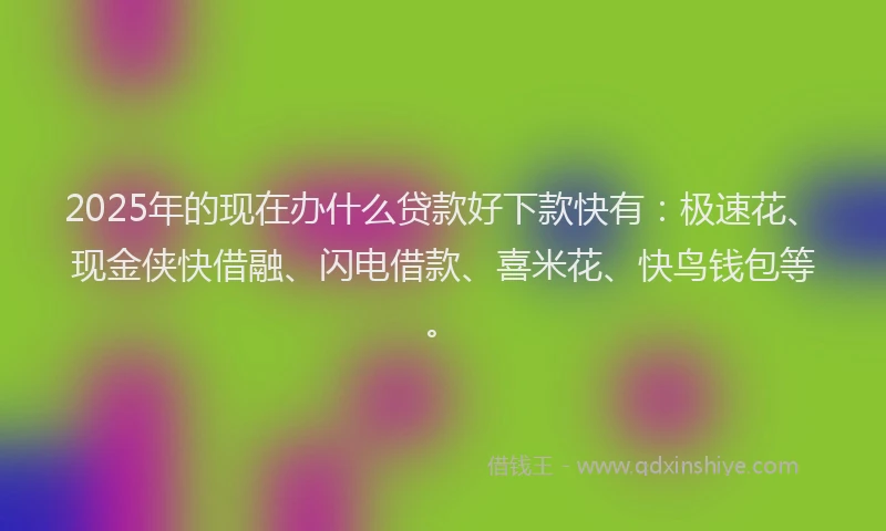 2025年的现在办什么贷款好下款快有：极速花、现金侠快借融、闪电借款、喜米花、快鸟钱包等。