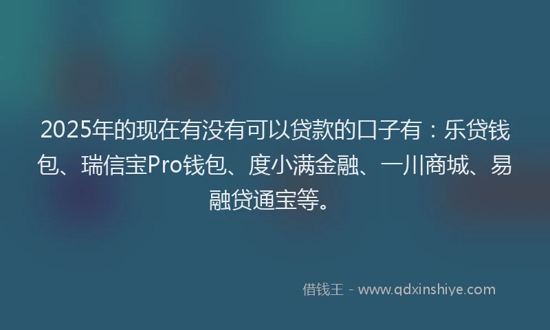 2025年的现在有没有可以贷款的口子有：乐贷钱包、瑞信宝Pro钱包、度小满金融、一川商城、易融贷通宝等。