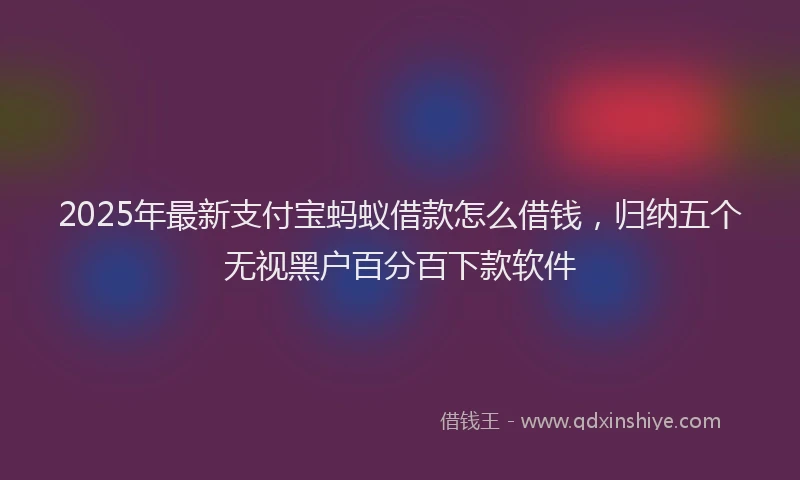 2025年最新支付宝蚂蚁借款怎么借钱，归纳五个无视黑户百分百下款软件
