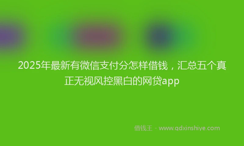 2025年最新有微信支付分怎样借钱，汇总五个真正无视风控黑白的网贷app