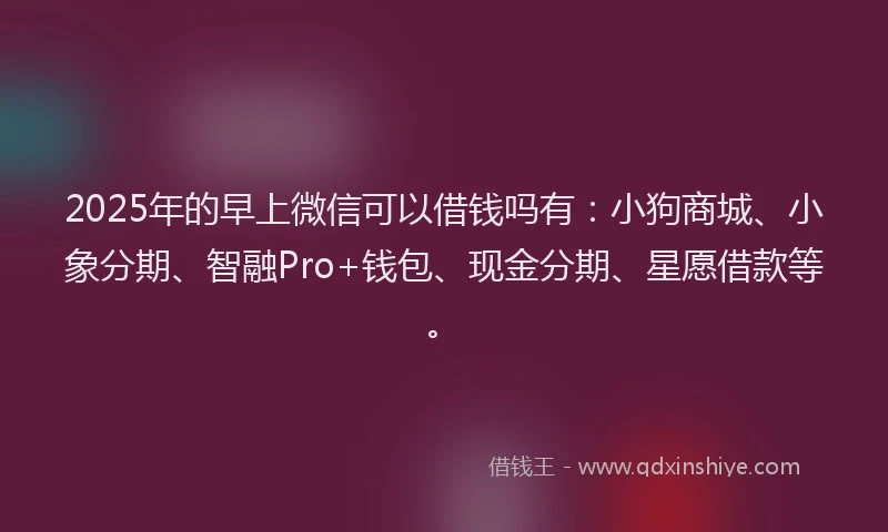 2025年的早上微信可以借钱吗有：小狗商城、小象分期、智融Pro+钱包、现金分期、星愿借款等。
