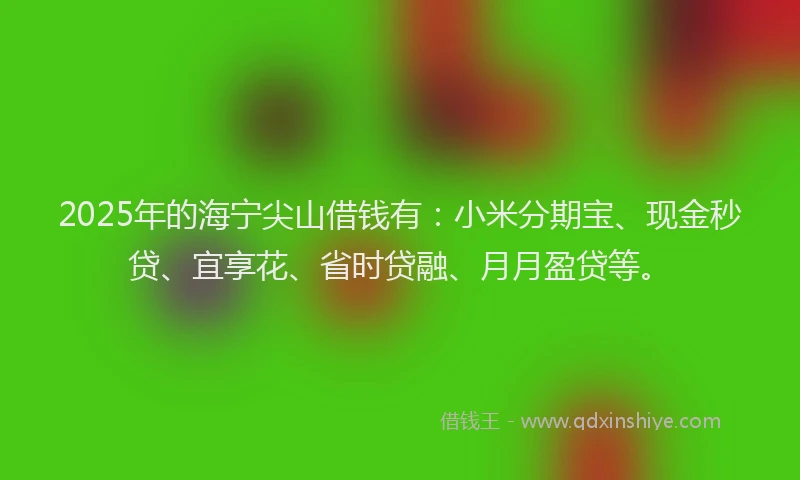 2025年的海宁尖山借钱有：小米分期宝、现金秒贷、宜享花、省时贷融、月月盈贷等。