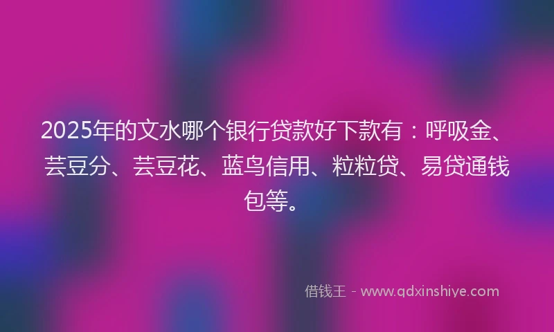 2025年的文水哪个银行贷款好下款有：呼吸金、芸豆分、芸豆花、蓝鸟信用、粒粒贷、易贷通钱包等。