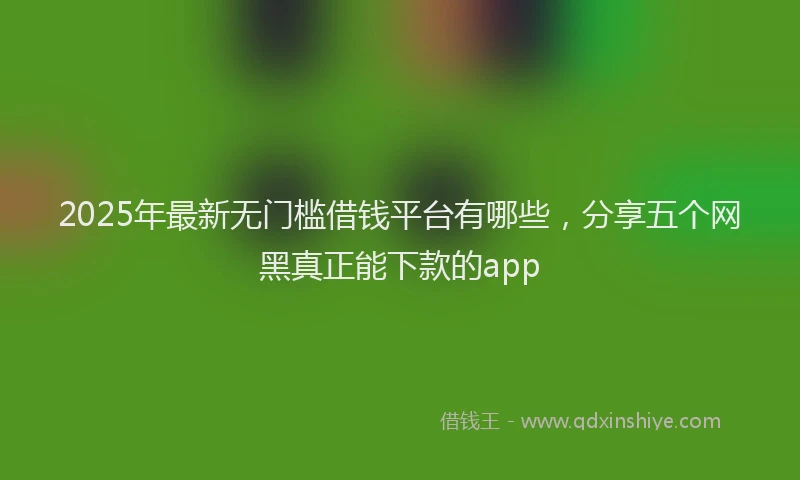 2025年最新无门槛借钱平台有哪些，分享五个网黑真正能下款的app