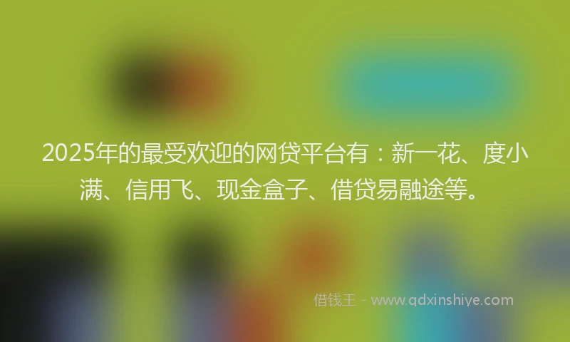 2025年的最受欢迎的网贷平台有：新一花、度小满、信用飞、现金盒子、借贷易融途等。