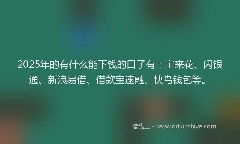 2025年的有什么能下钱的口子有：宝来花、闪银通、新浪易借、借款宝速融、快鸟钱包等。