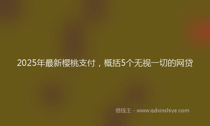 2025年最新樱桃支付，概括5个无视一切的网贷