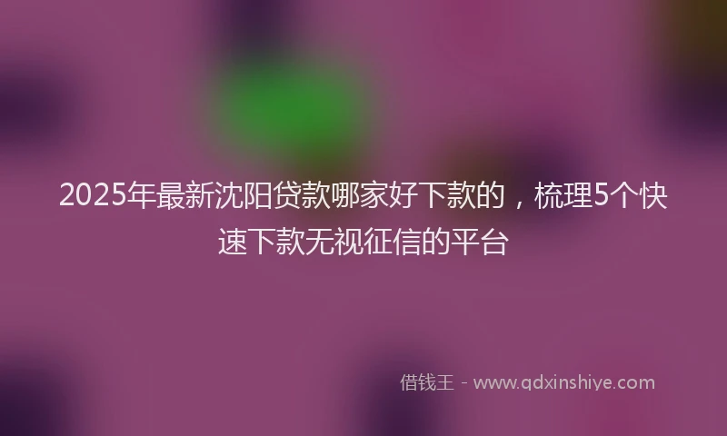 2025年最新沈阳贷款哪家好下款的，梳理5个快速下款无视征信的平台