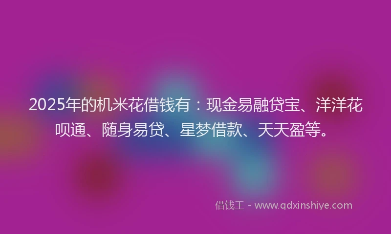 2025年的机米花借钱有：现金易融贷宝、洋洋花呗通、随身易贷、星梦借款、天天盈等。