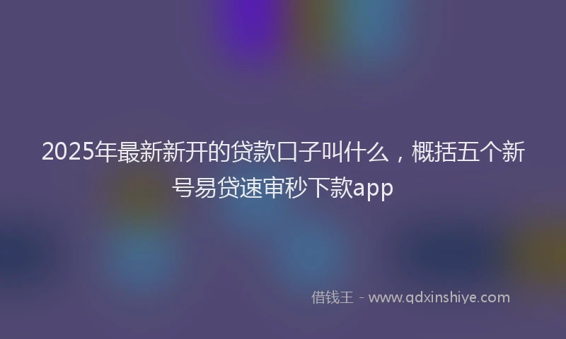 2025年最新新开的贷款口子叫什么，概括五个新号易贷速审秒下款app