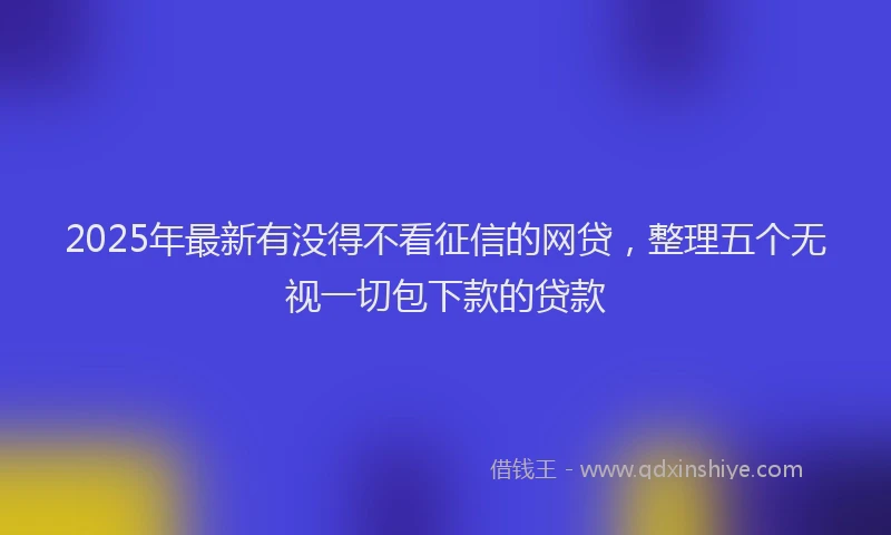 2025年最新有没得不看征信的网贷，整理五个无视一切包下款的贷款
