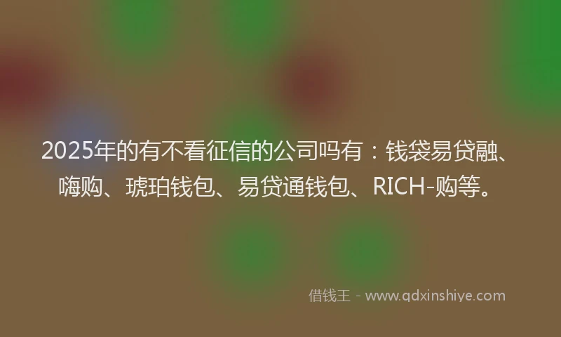 2025年的有不看征信的公司吗有：钱袋易贷融、嗨购、琥珀钱包、易贷通钱包、RICH-购等。