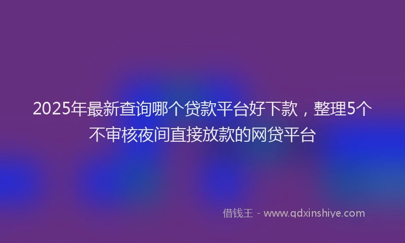 2025年最新查询哪个贷款平台好下款，整理5个不审核夜间直接放款的网贷平台