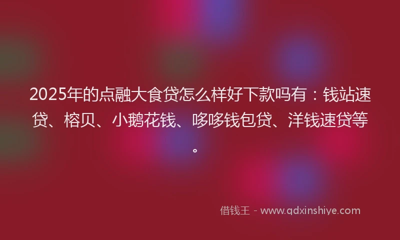 2025年的点融大食贷怎么样好下款吗有：钱站速贷、榕贝、小鹅花钱、哆哆钱包贷、洋钱速贷等。