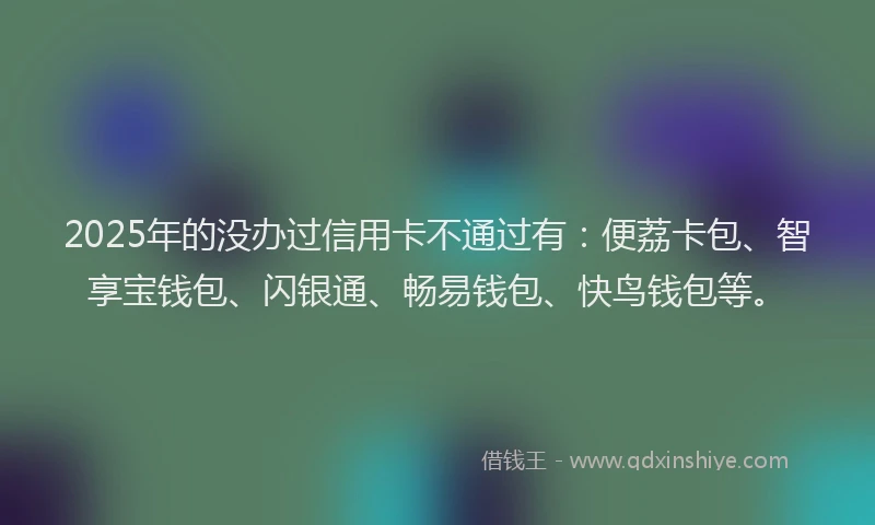 2025年的没办过信用卡不通过有：便荔卡包、智享宝钱包、闪银通、畅易钱包、快鸟钱包等。