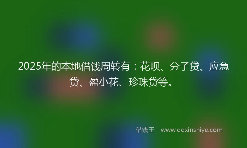 2025年的本地借钱周转有：花呗、分子贷、应急贷、盈小花、珍珠贷等。