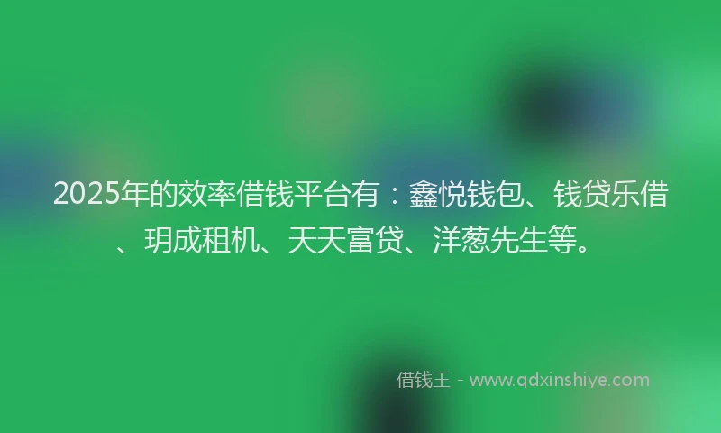 2025年的效率借钱平台有：鑫悦钱包、钱贷乐借、玥成租机、天天富贷、洋葱先生等。
