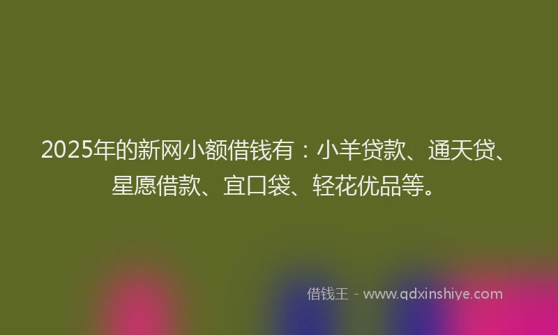 2025年的新网小额借钱有：小羊贷款、通天贷、星愿借款、宜口袋、轻花优品等。