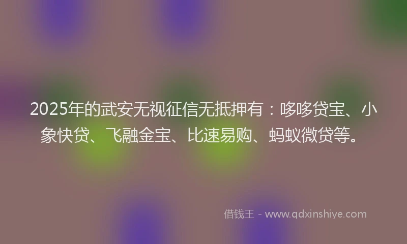 2025年的武安无视征信无抵押有：哆哆贷宝、小象快贷、飞融金宝、比速易购、蚂蚁微贷等。