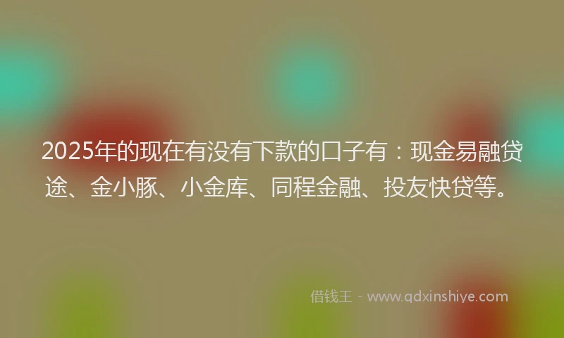 2025年的现在有没有下款的口子有：现金易融贷途、金小豚、小金库、同程金融、投友快贷等。