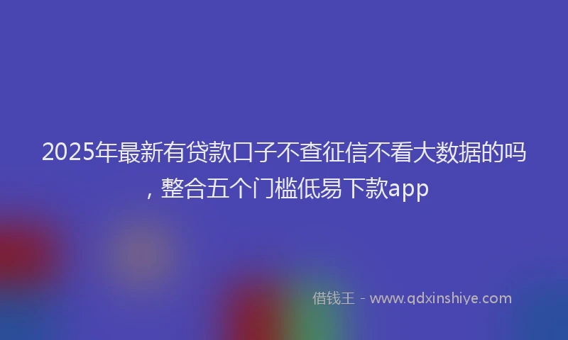 2025年最新有贷款口子不查征信不看大数据的吗，整合五个门槛低易下款app