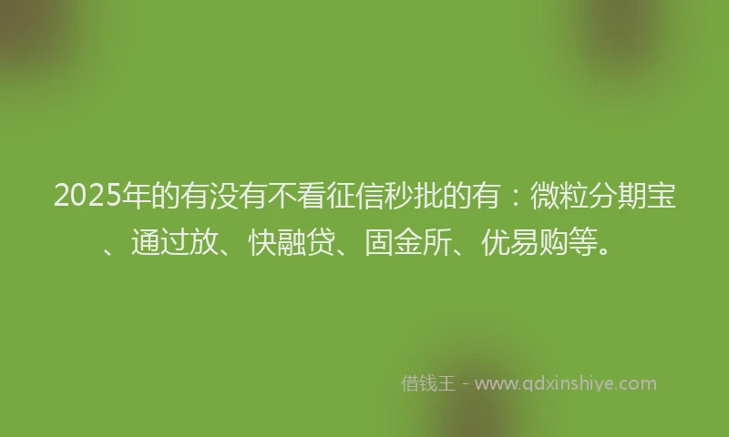 2025年的有没有不看征信秒批的有：微粒分期宝、通过放、快融贷、固金所、优易购等。