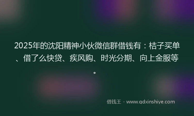 2025年的沈阳精神小伙微信群借钱有：桔子买单、借了么快贷、疾风购、时光分期、向上金服等。