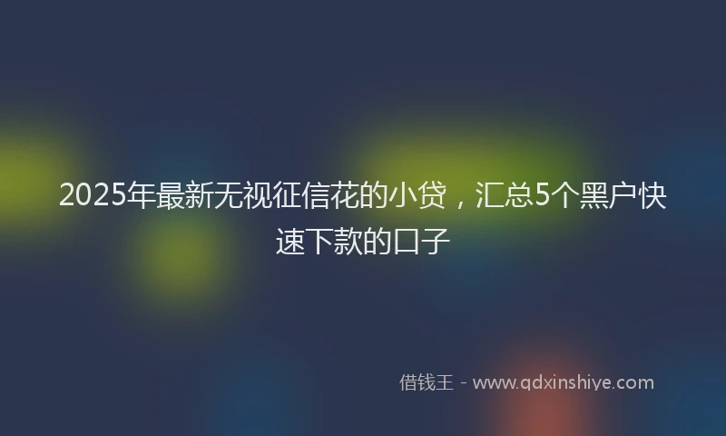 2025年最新无视征信花的小贷，汇总5个黑户快速下款的口子