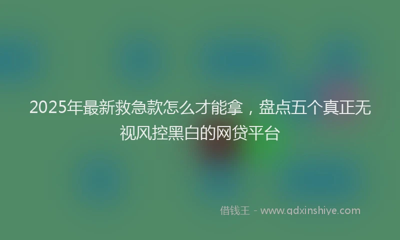 2025年最新救急款怎么才能拿，盘点五个真正无视风控黑白的网贷平台