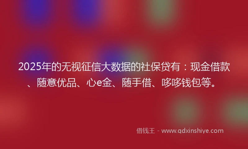 2025年的无视征信大数据的社保贷有：现金借款、随意优品、心e金、随手借、哆哆钱包等。