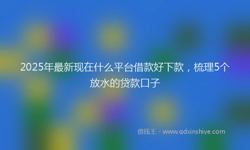 2025年最新现在什么平台借款好下款，梳理5个放水的贷款口子