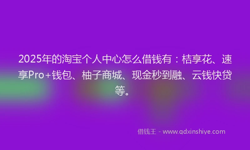 2025年的淘宝个人中心怎么借钱有：桔享花、速享Pro+钱包、柚子商城、现金秒到融、云钱快贷等。