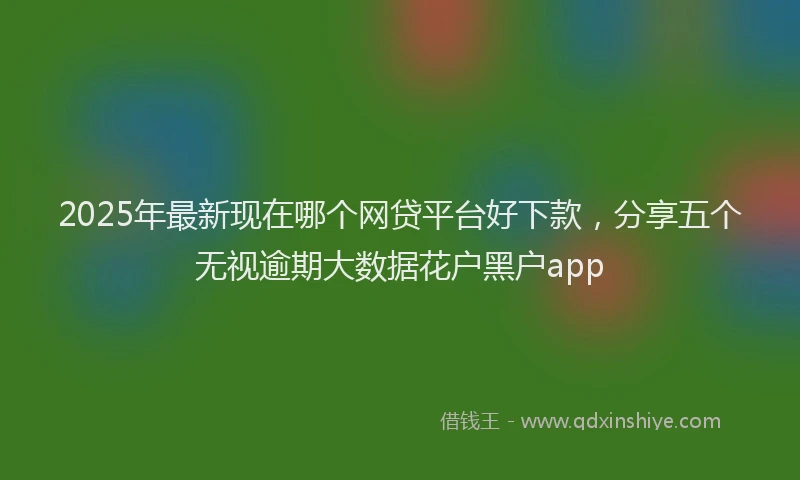 2025年最新现在哪个网贷平台好下款，分享五个无视逾期大数据花户黑户app