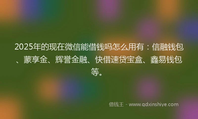 2025年的现在微信能借钱吗怎么用有：信融钱包、蒙享金、辉誉金融、快借速贷宝盒、鑫易钱包等。