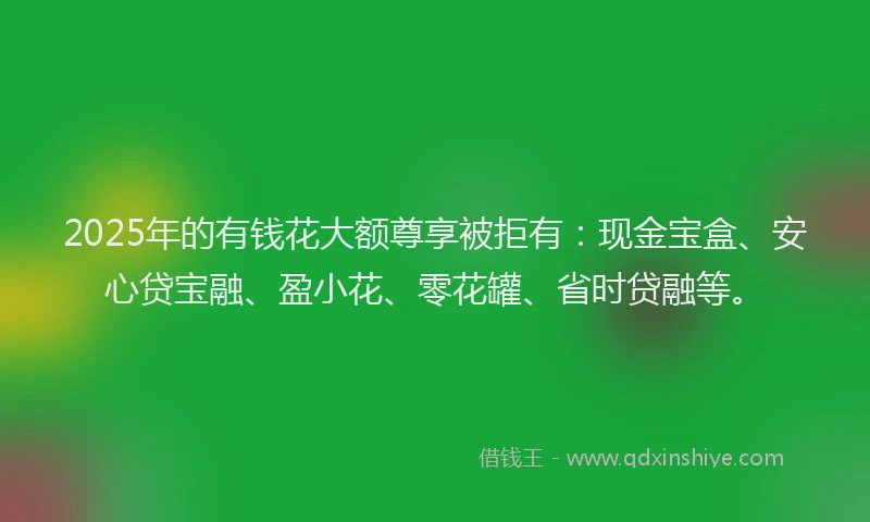 2025年的有钱花大额尊享被拒有:现金宝盒、安心贷宝融、盈小花、零花罐、省时贷融等。