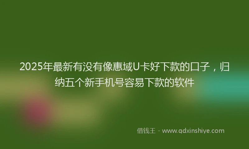 2025年最新有没有像惠域U卡好下款的口子，归纳五个新手机号容易下款的软件