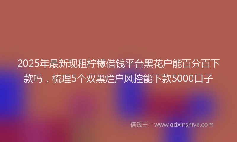 2025年最新现租柠檬借钱平台黑花户能百分百下款吗，梳理5个双黑烂户风控能下款5000口子