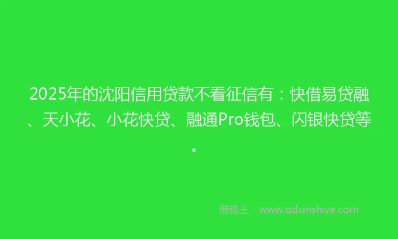 2025年的沈阳信用贷款不看征信有:快借易贷融、天小花、小花快贷、融通Pro钱包、闪银快贷等。
