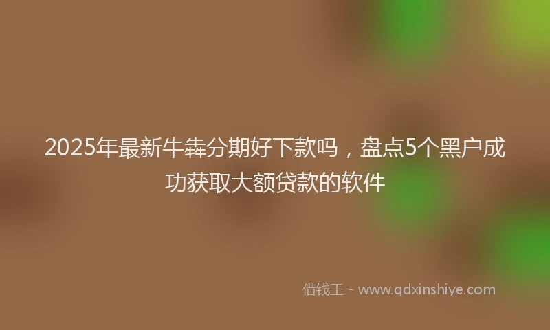 2025年最新牛犇分期好下款吗，盘点5个黑户成功获取大额贷款的软件