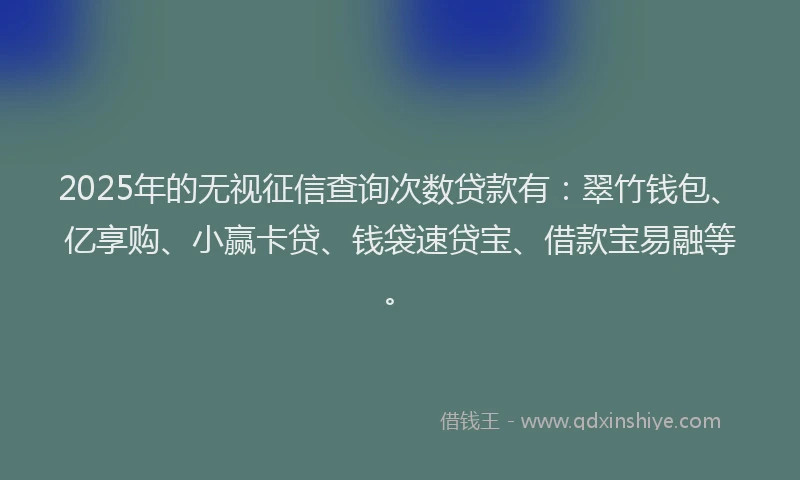 2025年的无视征信查询次数贷款有：翠竹钱包、亿享购、小赢卡贷、钱袋速贷宝、借款宝易融等。