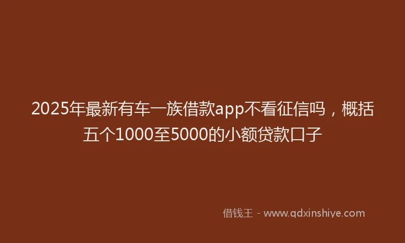 2025年最新有车一族借款app不看征信吗，概括五个1000至5000的小额贷款口子