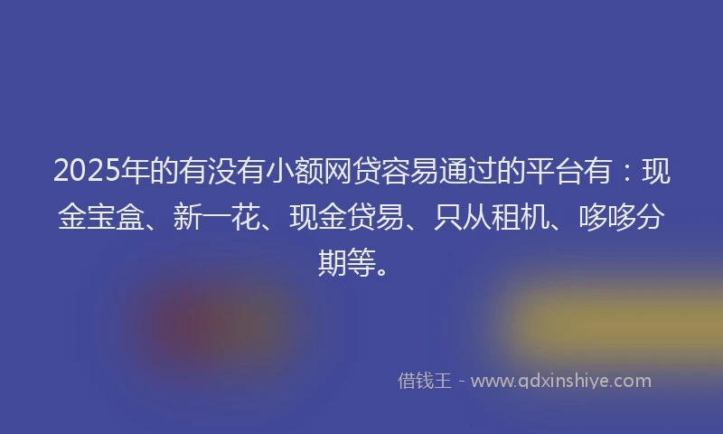 2025年的有没有小额网贷容易通过的平台有：现金宝盒、新一花、现金贷易、只从租机、哆哆分期等。