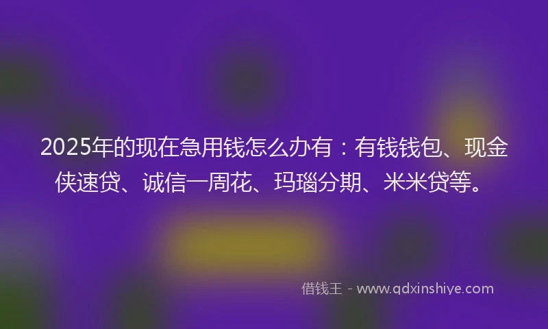 2025年的现在急用钱怎么办有：有钱钱包、现金侠速贷、诚信一周花、玛瑙分期、米米贷等。
