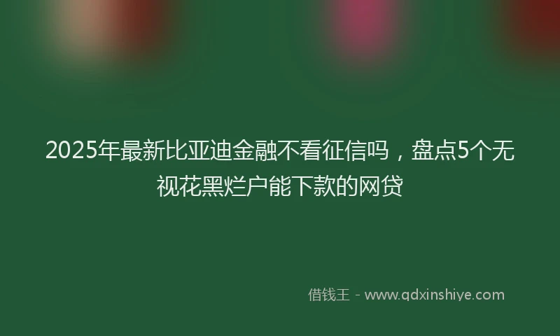 2025年最新比亚迪金融不看征信吗，盘点5个无视花黑烂户能下款的网贷