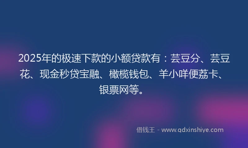 2025年的极速下款的小额贷款有：芸豆分、芸豆花、现金秒贷宝融、橄榄钱包、羊小咩便荔卡、银票网等。
